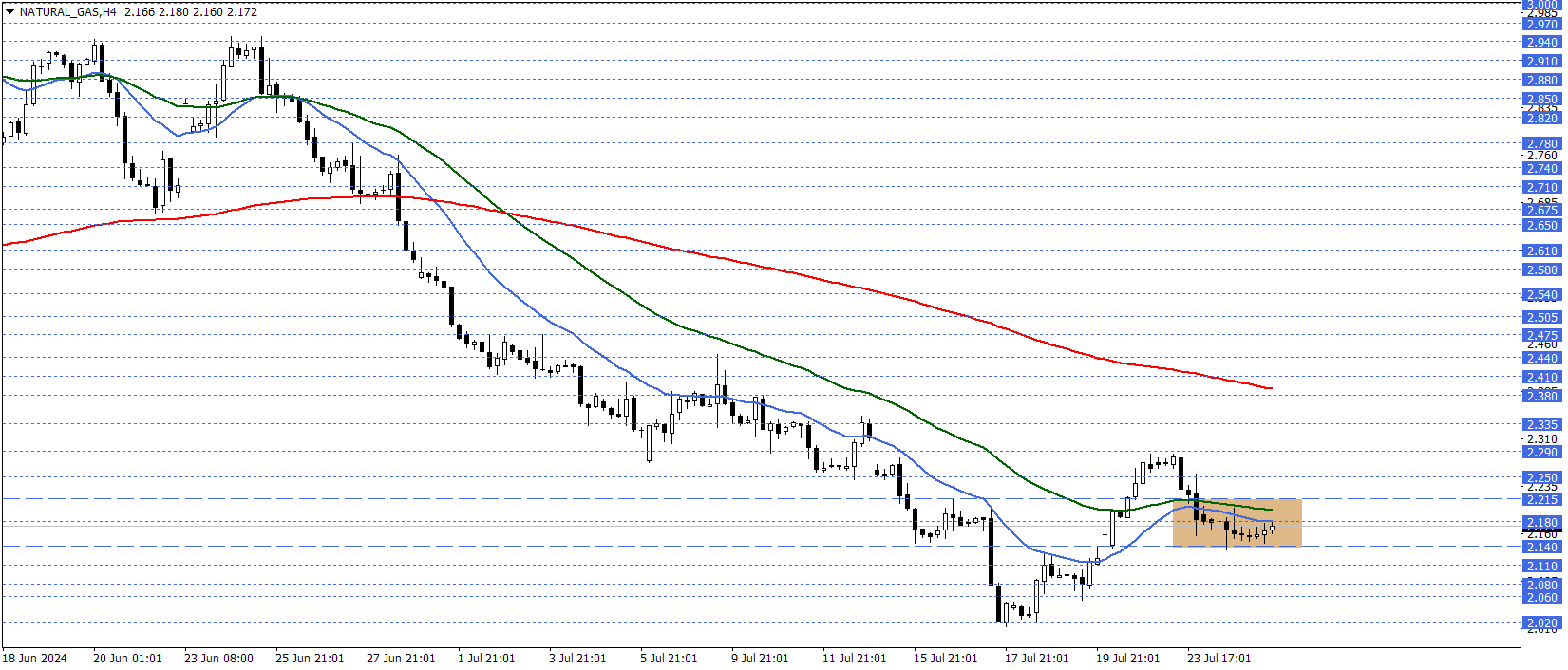 DOĞAL GAZ