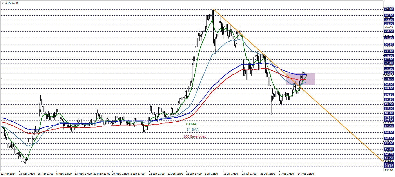 TESLA ANALİZİ