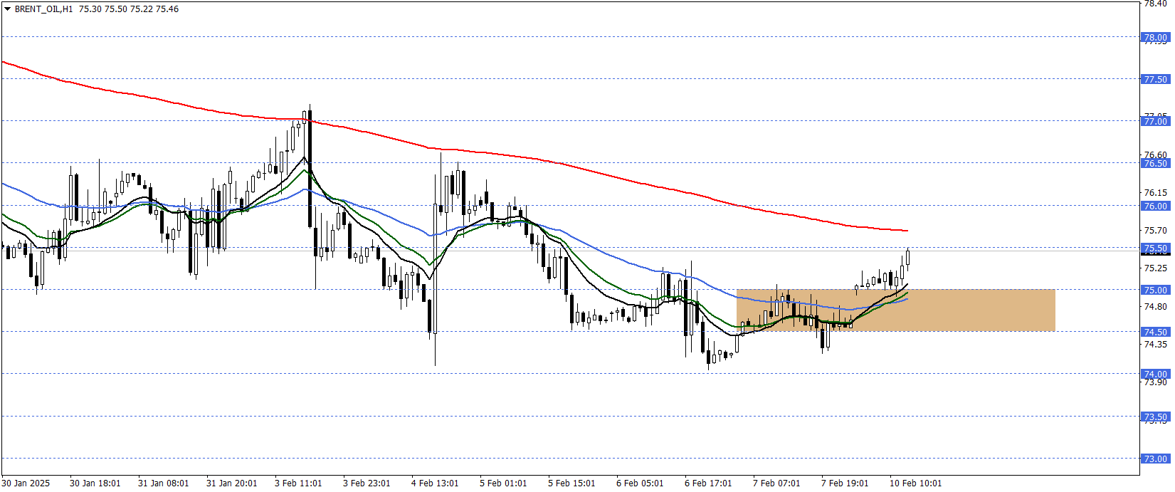 BRENT PETROL