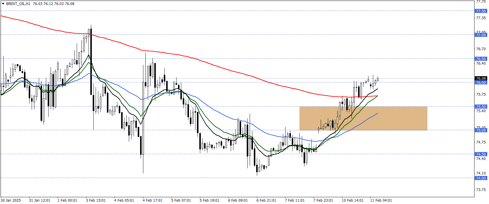 BRENT PETROL